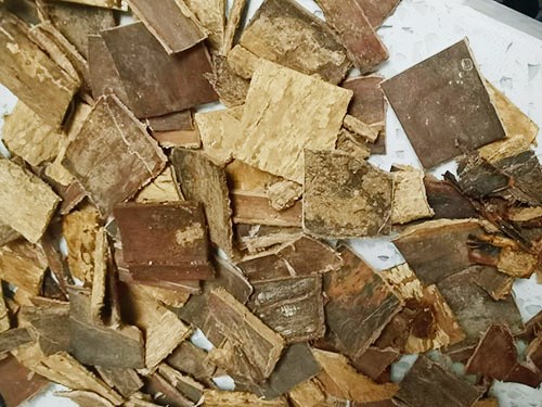 怎样炮制杜仲叶粉