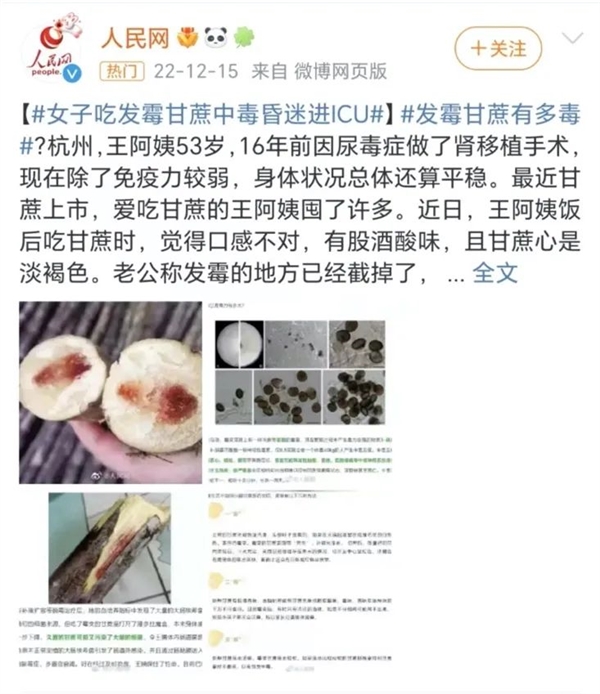 一根甘蔗吃进ICU！这样的甘蔗千万别吃 严重致死