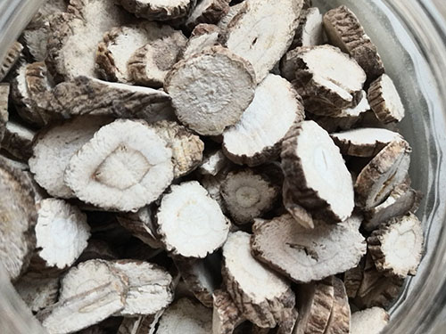 中药白芷的功效与作用