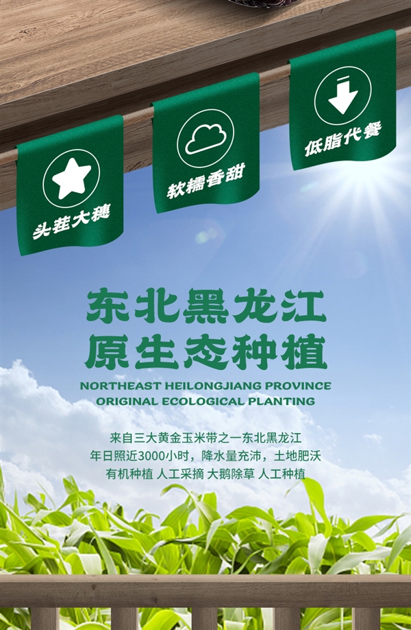 软糯香甜 一年一季：啃糯东北黑糯玉米19.9元10支大促（减30元）