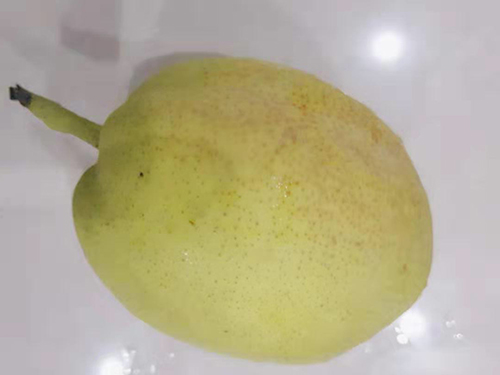 硝酸异山梨酯片可以长期使用吗 硝酸异山梨酯片能吃半片吗