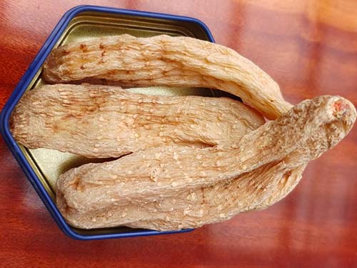 天麻头痛片哪里有卖的