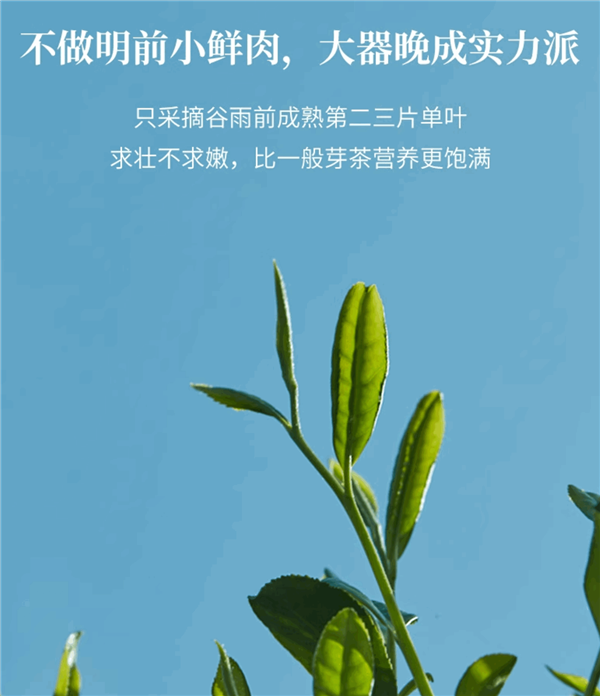 中华老字号！徽六六安瓜片口粮茶大促：领70元券 18块到手