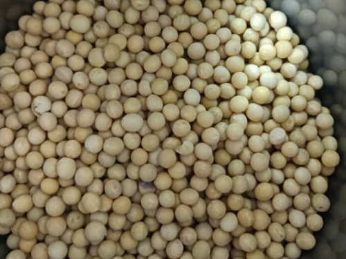 黄豆和什么煲汤比较好 黄豆煲汤最佳搭配