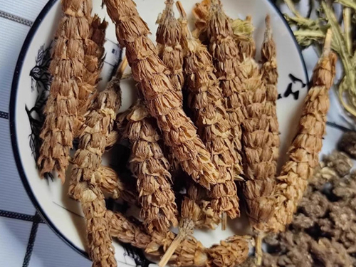 白毛夏枯草和夏枯草的区别 白毛夏枯草泡水喝功效与作用